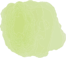 水彩の飾りイラスト